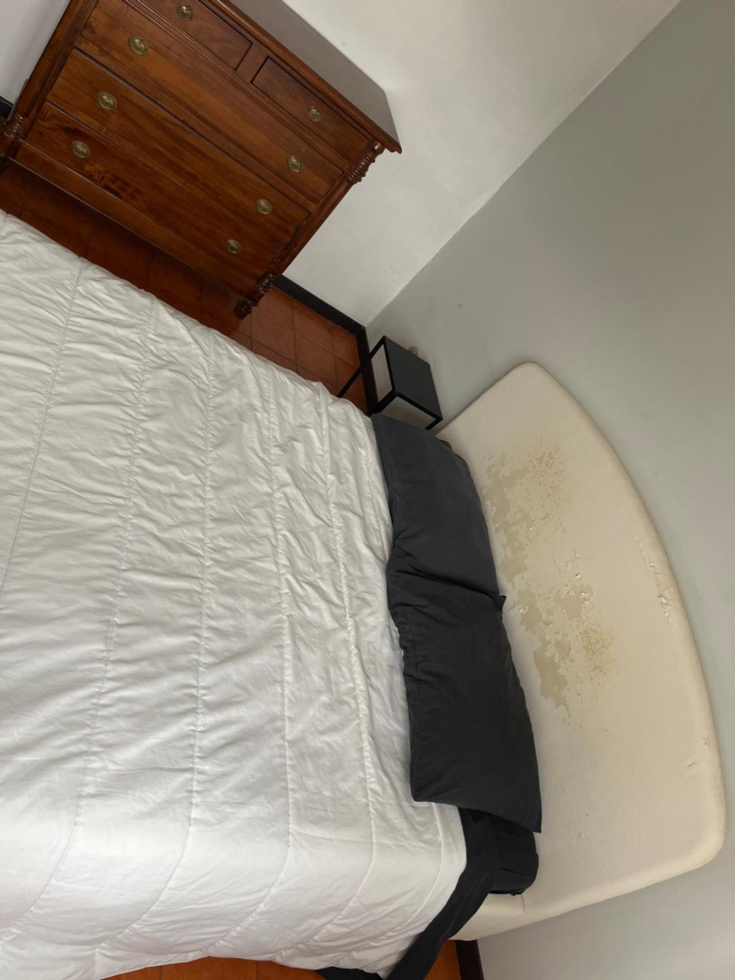 Ciamarra Rooms روما المظهر الخارجي الصورة